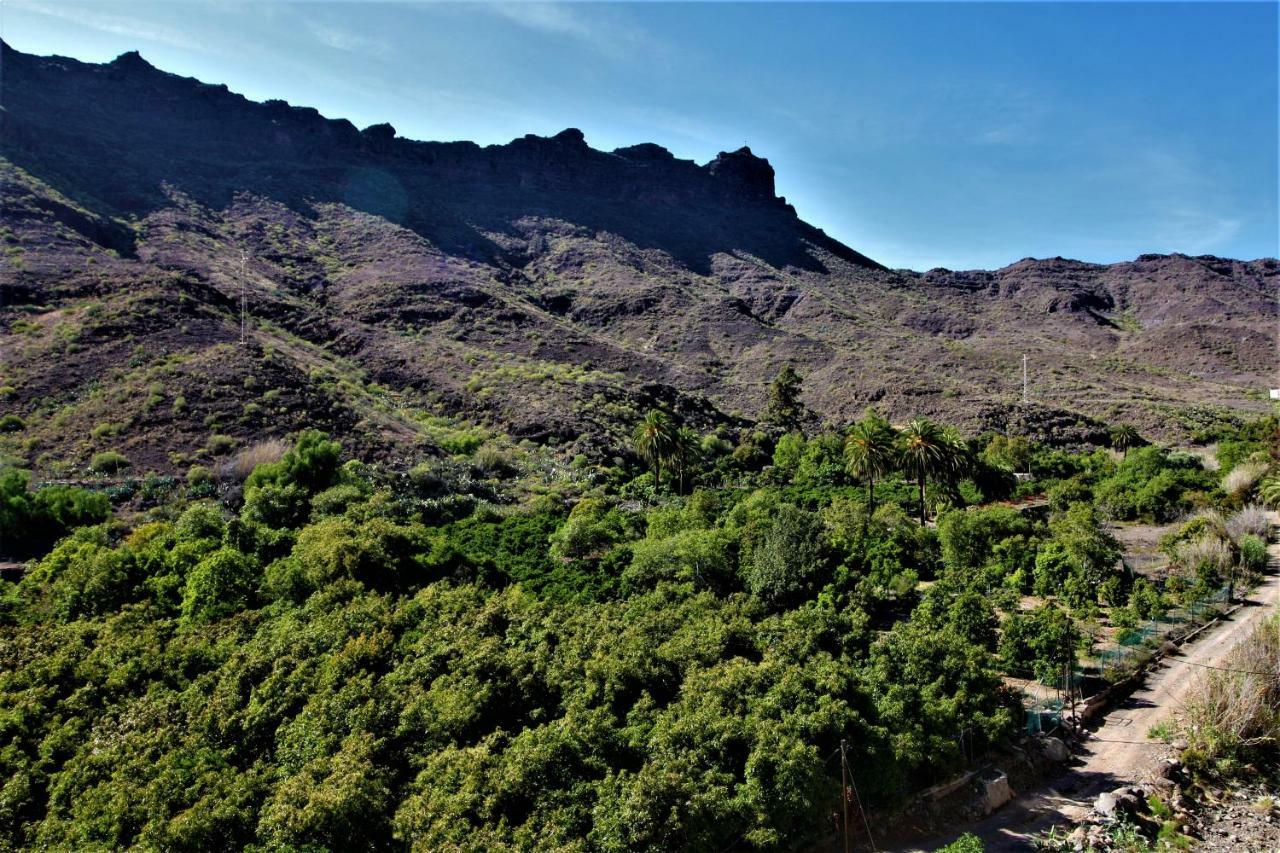 Open Sky Valley โมกัน ภายนอก รูปภาพ